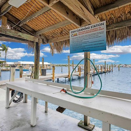St Kitts - Downtown Waterfront Penthouse Pool Dock Parking Villa Key West Exterior photo